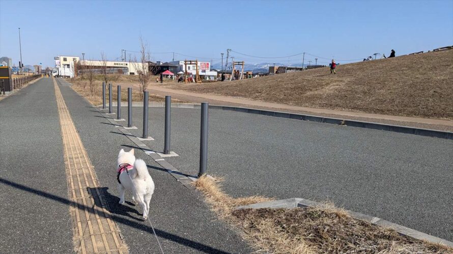 春を感じるお散歩